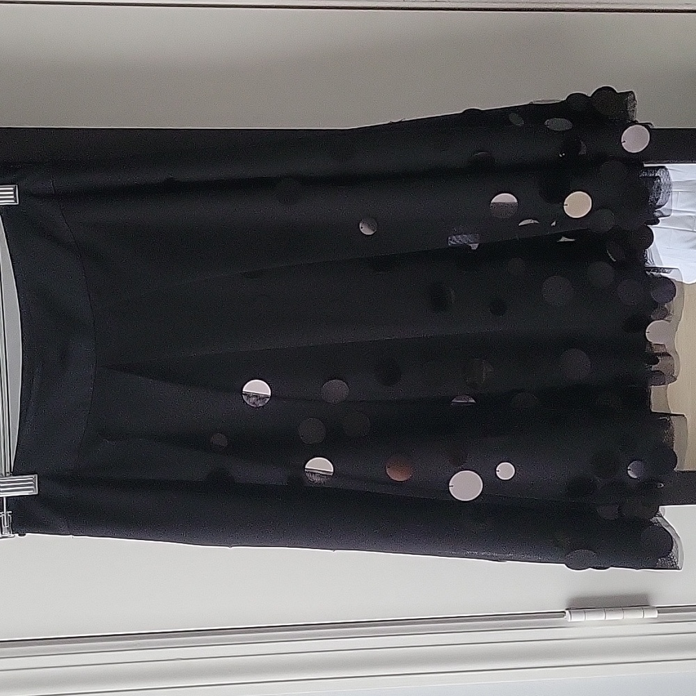 Ann Taylor Tulle Skirt